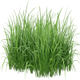 Grass-fed